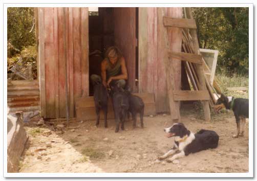Jogyata feeds the pigs while the dogs wait patiently