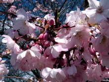 April 11
