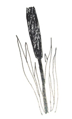 Poem Moor